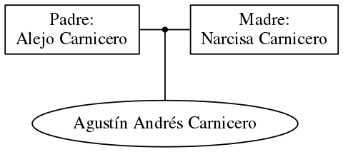 This is a graph with borders and nodes. Maybe there is an Imagemap used so the nodes may be linking to some Pages.