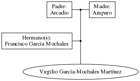 This is a graph with borders and nodes. Maybe there is an Imagemap used so the nodes may be linking to some Pages.