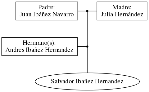 This is a graph with borders and nodes. Maybe there is an Imagemap used so the nodes may be linking to some Pages.