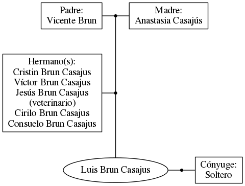 This is a graph with borders and nodes. Maybe there is an Imagemap used so the nodes may be linking to some Pages.