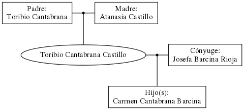 This is a graph with borders and nodes. Maybe there is an Imagemap used so the nodes may be linking to some Pages.