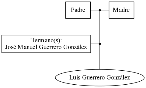 This is a graph with borders and nodes. Maybe there is an Imagemap used so the nodes may be linking to some Pages.