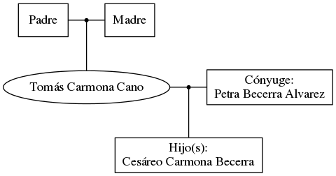 This is a graph with borders and nodes. Maybe there is an Imagemap used so the nodes may be linking to some Pages.