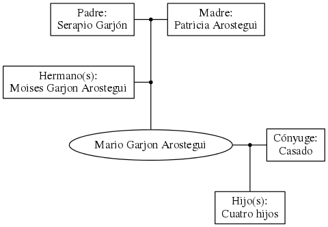 This is a graph with borders and nodes. Maybe there is an Imagemap used so the nodes may be linking to some Pages.