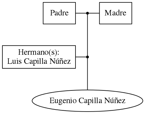 This is a graph with borders and nodes. Maybe there is an Imagemap used so the nodes may be linking to some Pages.