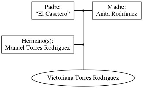 This is a graph with borders and nodes. Maybe there is an Imagemap used so the nodes may be linking to some Pages.