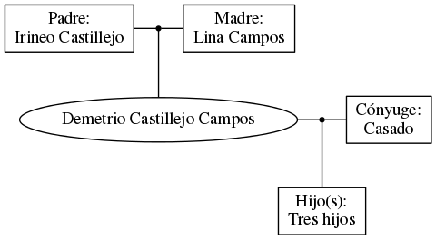 This is a graph with borders and nodes. Maybe there is an Imagemap used so the nodes may be linking to some Pages.