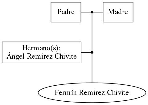 This is a graph with borders and nodes. Maybe there is an Imagemap used so the nodes may be linking to some Pages.