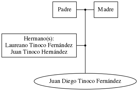 This is a graph with borders and nodes. Maybe there is an Imagemap used so the nodes may be linking to some Pages.