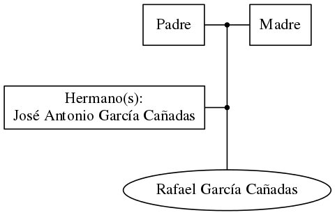 This is a graph with borders and nodes. Maybe there is an Imagemap used so the nodes may be linking to some Pages.