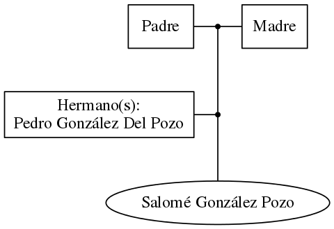 This is a graph with borders and nodes. Maybe there is an Imagemap used so the nodes may be linking to some Pages.