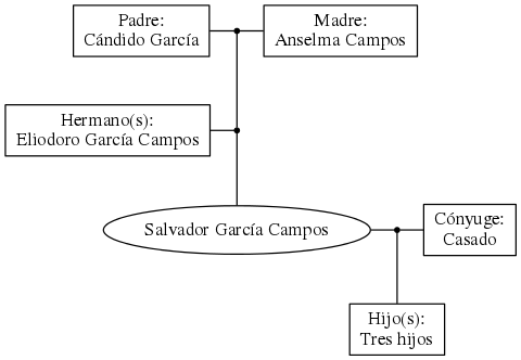 This is a graph with borders and nodes. Maybe there is an Imagemap used so the nodes may be linking to some Pages.