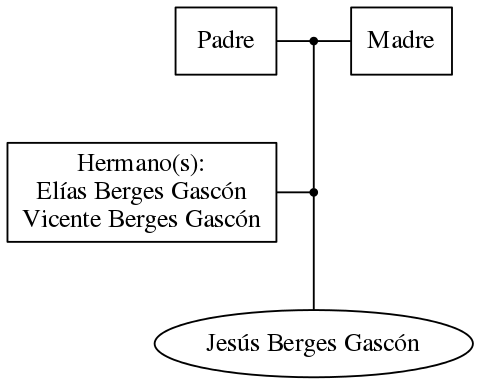 This is a graph with borders and nodes. Maybe there is an Imagemap used so the nodes may be linking to some Pages.