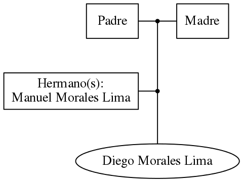 This is a graph with borders and nodes. Maybe there is an Imagemap used so the nodes may be linking to some Pages.