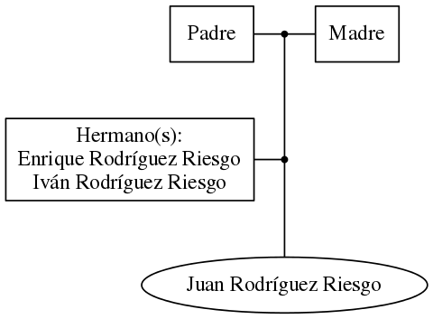 This is a graph with borders and nodes. Maybe there is an Imagemap used so the nodes may be linking to some Pages.