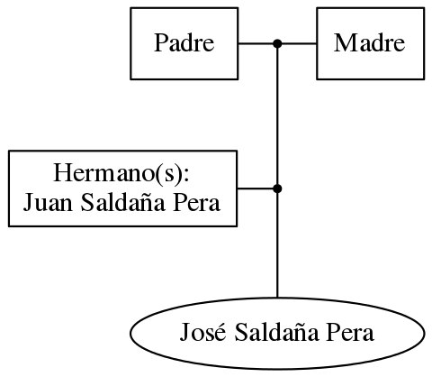 This is a graph with borders and nodes. Maybe there is an Imagemap used so the nodes may be linking to some Pages.