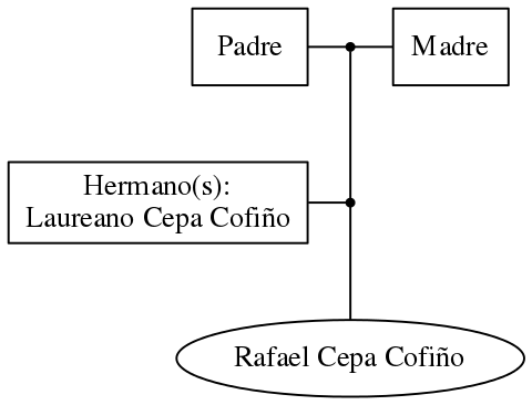 This is a graph with borders and nodes. Maybe there is an Imagemap used so the nodes may be linking to some Pages.