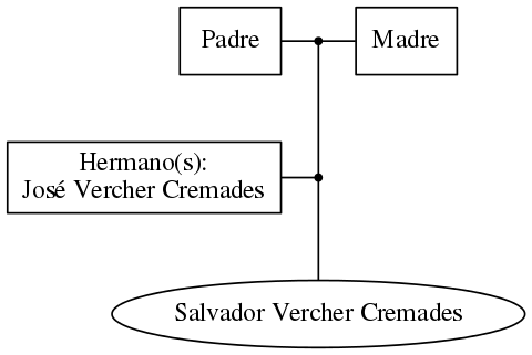 This is a graph with borders and nodes. Maybe there is an Imagemap used so the nodes may be linking to some Pages.