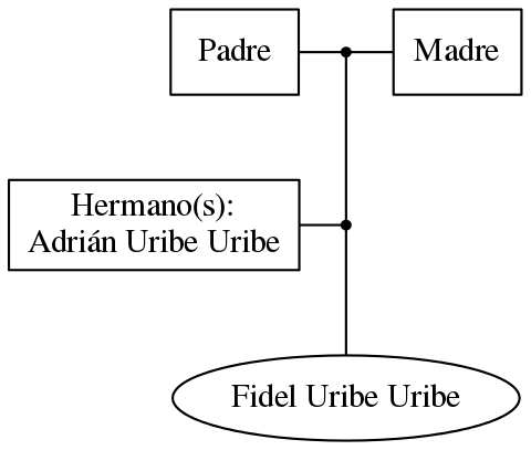 This is a graph with borders and nodes. Maybe there is an Imagemap used so the nodes may be linking to some Pages.