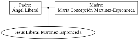 This is a graph with borders and nodes. Maybe there is an Imagemap used so the nodes may be linking to some Pages.