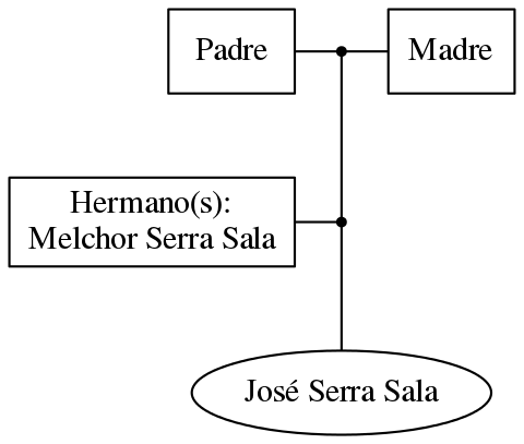 This is a graph with borders and nodes. Maybe there is an Imagemap used so the nodes may be linking to some Pages.