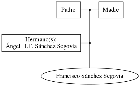 This is a graph with borders and nodes. Maybe there is an Imagemap used so the nodes may be linking to some Pages.