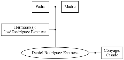 This is a graph with borders and nodes. Maybe there is an Imagemap used so the nodes may be linking to some Pages.