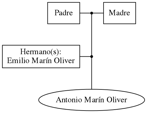 This is a graph with borders and nodes. Maybe there is an Imagemap used so the nodes may be linking to some Pages.