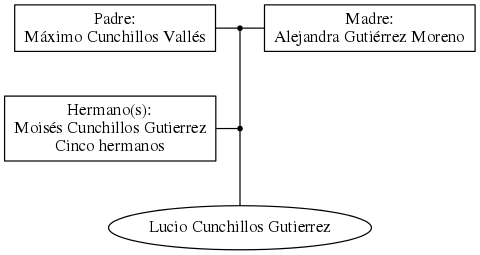 This is a graph with borders and nodes. Maybe there is an Imagemap used so the nodes may be linking to some Pages.