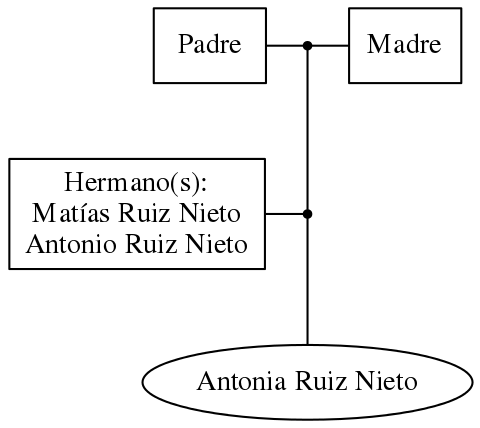 This is a graph with borders and nodes. Maybe there is an Imagemap used so the nodes may be linking to some Pages.