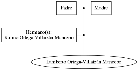 This is a graph with borders and nodes. Maybe there is an Imagemap used so the nodes may be linking to some Pages.