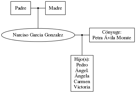 This is a graph with borders and nodes. Maybe there is an Imagemap used so the nodes may be linking to some Pages.