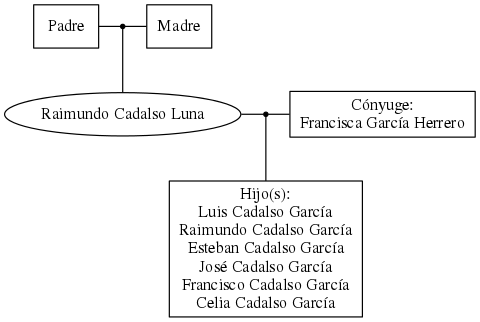 This is a graph with borders and nodes. Maybe there is an Imagemap used so the nodes may be linking to some Pages.