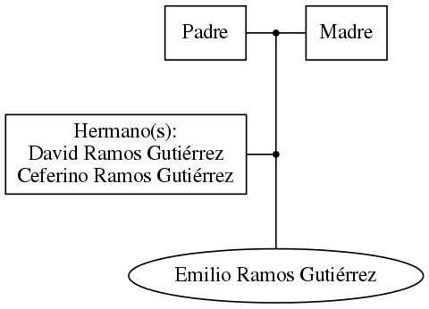 This is a graph with borders and nodes. Maybe there is an Imagemap used so the nodes may be linking to some Pages.