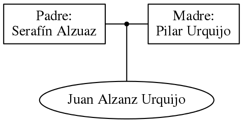 This is a graph with borders and nodes. Maybe there is an Imagemap used so the nodes may be linking to some Pages.