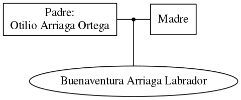 This is a graph with borders and nodes. Maybe there is an Imagemap used so the nodes may be linking to some Pages.