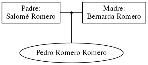 This is a graph with borders and nodes. Maybe there is an Imagemap used so the nodes may be linking to some Pages.