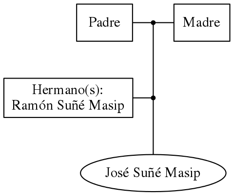 This is a graph with borders and nodes. Maybe there is an Imagemap used so the nodes may be linking to some Pages.