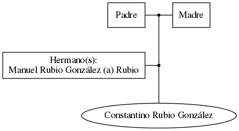 This is a graph with borders and nodes. Maybe there is an Imagemap used so the nodes may be linking to some Pages.