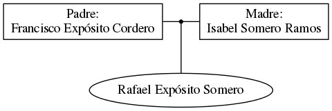 This is a graph with borders and nodes. Maybe there is an Imagemap used so the nodes may be linking to some Pages.