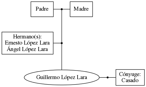 This is a graph with borders and nodes. Maybe there is an Imagemap used so the nodes may be linking to some Pages.