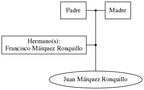 This is a graph with borders and nodes. Maybe there is an Imagemap used so the nodes may be linking to some Pages.