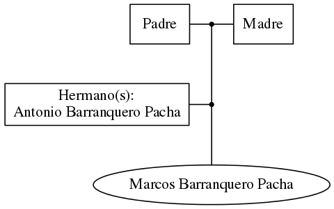 This is a graph with borders and nodes. Maybe there is an Imagemap used so the nodes may be linking to some Pages.