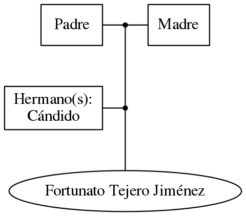 This is a graph with borders and nodes. Maybe there is an Imagemap used so the nodes may be linking to some Pages.