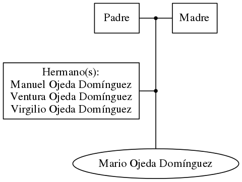 This is a graph with borders and nodes. Maybe there is an Imagemap used so the nodes may be linking to some Pages.