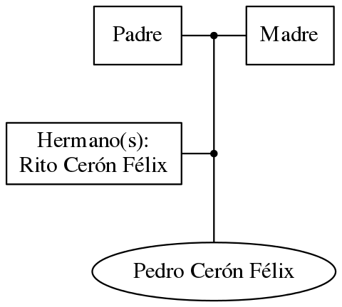 This is a graph with borders and nodes. Maybe there is an Imagemap used so the nodes may be linking to some Pages.