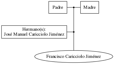 This is a graph with borders and nodes. Maybe there is an Imagemap used so the nodes may be linking to some Pages.