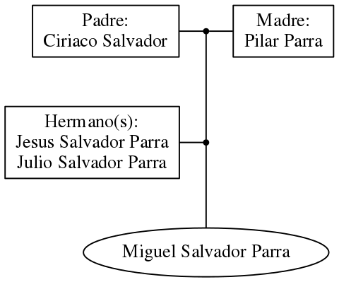 This is a graph with borders and nodes. Maybe there is an Imagemap used so the nodes may be linking to some Pages.