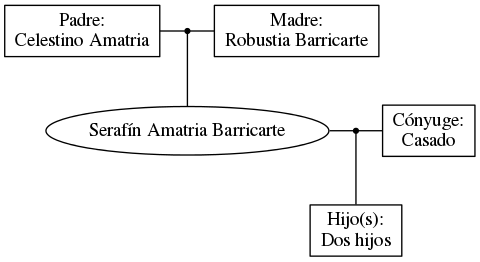 This is a graph with borders and nodes. Maybe there is an Imagemap used so the nodes may be linking to some Pages.