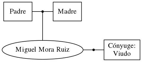 This is a graph with borders and nodes. Maybe there is an Imagemap used so the nodes may be linking to some Pages.